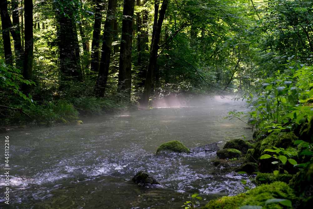 Mist rising over river at dawn.