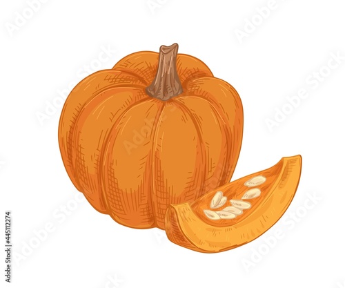 Orange round pumpkin and cut piece with seeds. Autumn vegetable composition d...