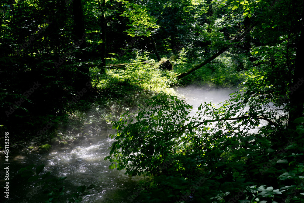 Obraz premium Mist rising over river at dawn.