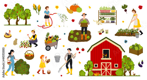 Garden, farm and agriculture. Woman and man cares for garden, potted plant, grows organic vegetables and herbs on farm or at home.