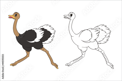 Coloring book: Long-legged cute ostrich running forward, page for children. Vector illustration of isolated line art, in cartoon style