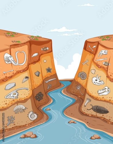 Layer of soils showing animal fossils