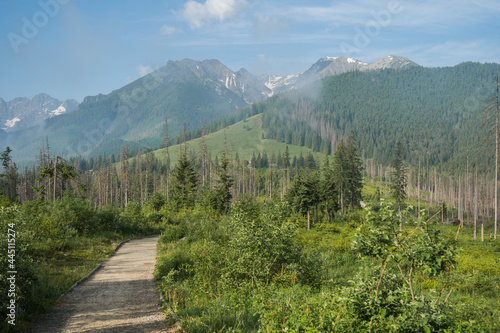 the road to the Rusyn clearing, the Tatra Mountains