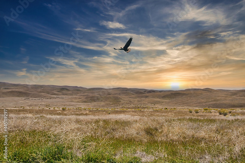 Exploring the Carrizo Plain National Monument