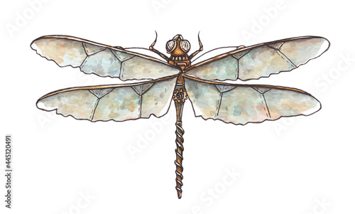 Watercolor illustration of mechanical dragonfly on white background