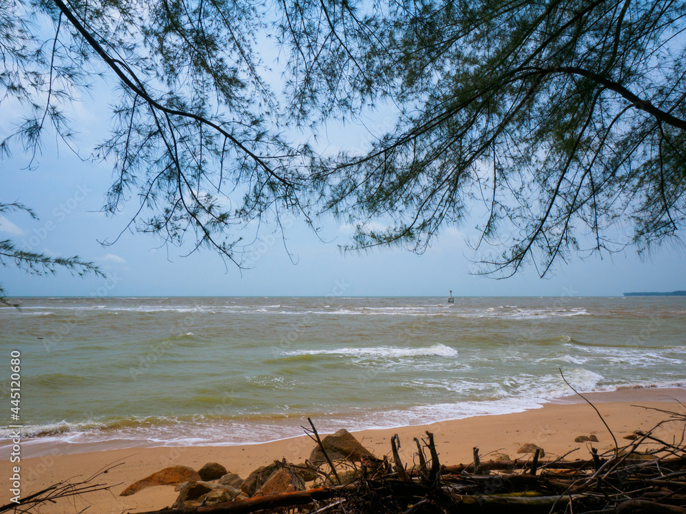 Rough waves, dead leaves and branches in a sandy beach (Nam Khem, Phang Nga, Thailand) Rough waves, dead leaves and branches in a sandy beach (Nam Khem, Phang Nga, Thailand)