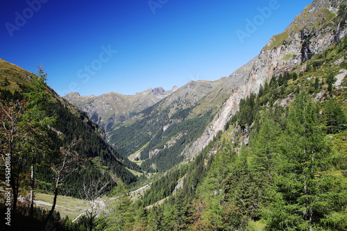 Riesach valley in Wild Wasser Natural park in Austria