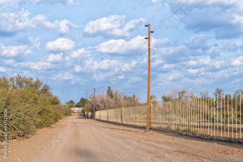 Road scene between small holdings in Prince Albert photo