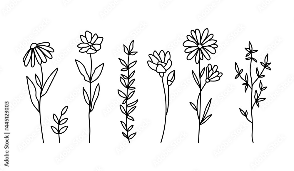 Wildflowers black and white clipart bundle, daisy and chamomile flower