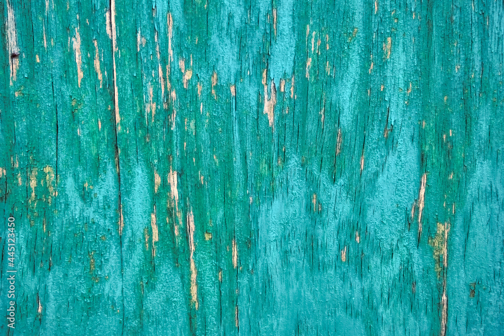 The texture of the old painted wooden surface in green.