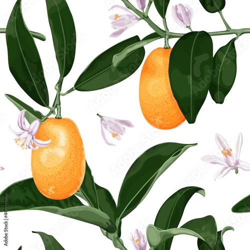 Exotic seamless pattern with kumquat fruits, flowers and leaves. Fortunella tropical fruit. Stock vector illustration isolated on white background.