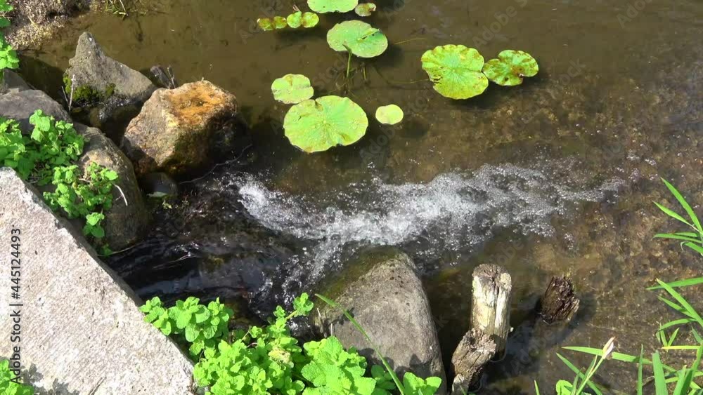 緑水苑(福島県・郡山市) 緑水苑(福島県・郡山市)