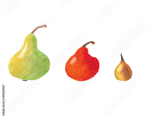 Hand drawn illustration set of fruits with three pears of different colors and sizes, green, red, yellow isolated on white background. Handmade colorful and unique design drawn in colored pencils. 