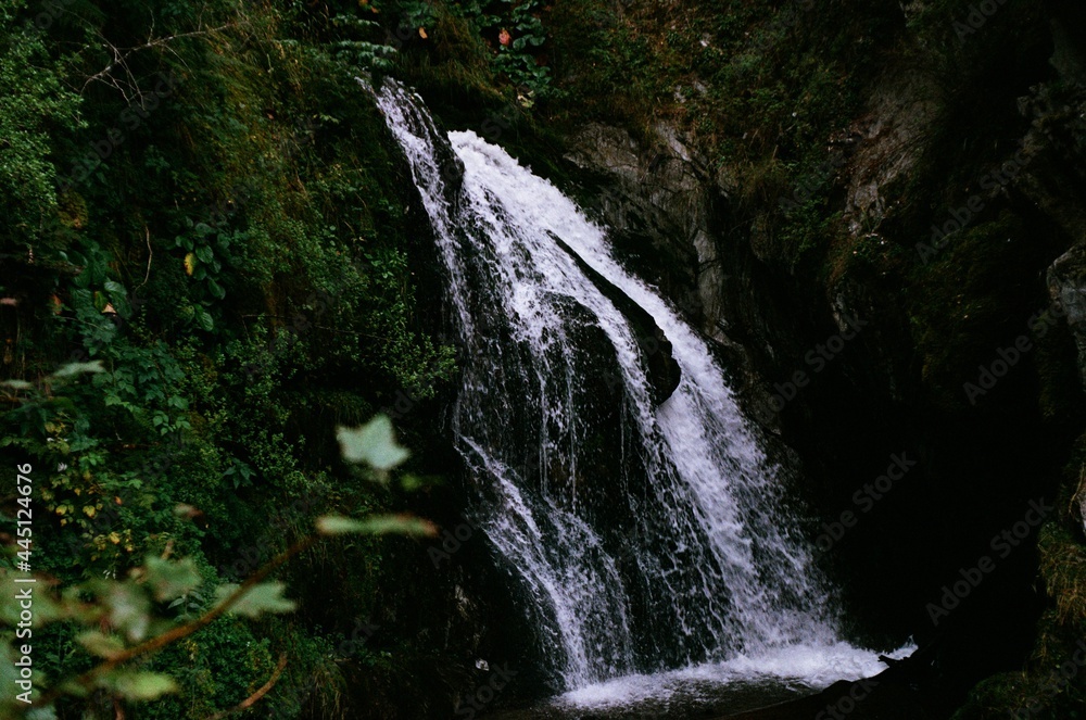 waterfall in the forest waterfall in the forest