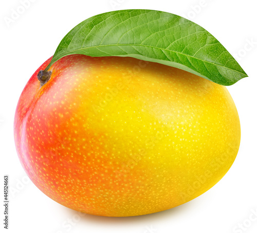 Juicy mango isolated on the white background