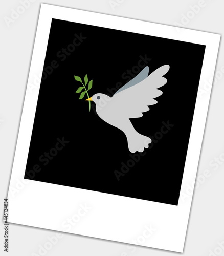 white dove flying with a flower