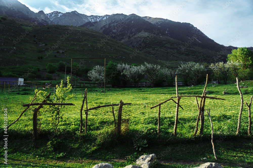 landscape with fence and apple trees in the meadow and mountains