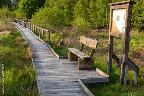 Hiking trail on wooden boardwalks through the Todtenbruch Moor in the Raffelsbrand region photo