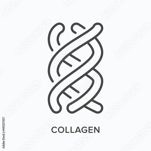 Collagen flat line icon. Vector outline illustration of bio chain. Black thin linear pictogram for peptide