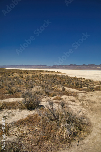 Exploring the Carrizo Plain National Monument