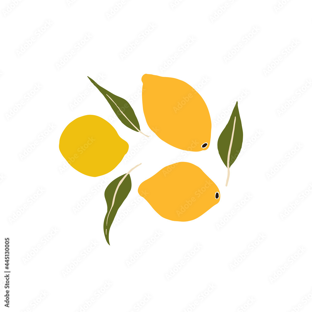 Whole lemon fruits and leaves. Citrus sweet juicy fruit. Food and drink. Set of Abstract vector illustrations. Summer trendy simple icons. For instagram post, business advertisement, flyer design.