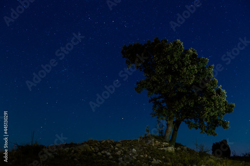 Paisaje nocturno con árbol solitario y cielo estrellado cerca de la población de San Agustín, en la provincia de Teruel. Aragón. España. Europa