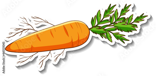 A sticker template with root vegetable carrot isolated