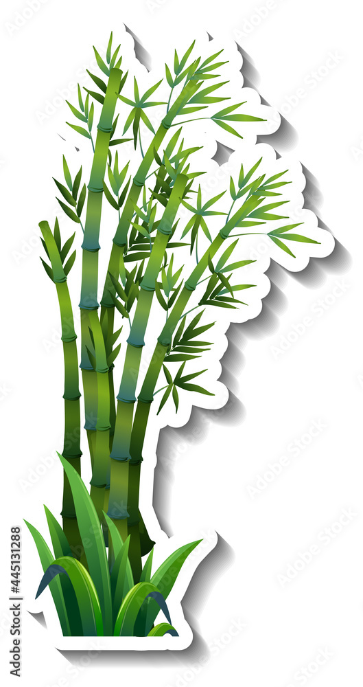 Obraz premium Bamboo tree sticker on white background