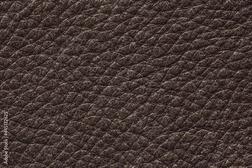 Dark brown color genuine cow hide leather. Texture close-up. Fashionable background