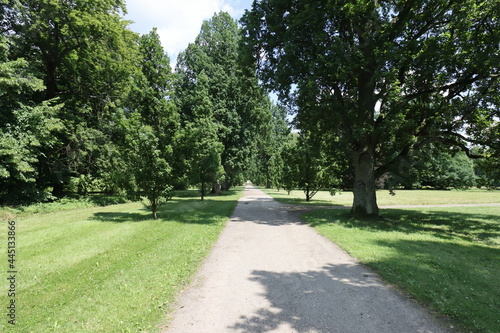 Nice sunny park with big trees and gravel path