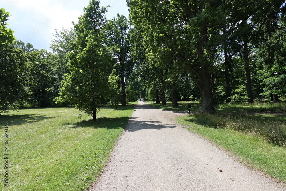Nice sunny park with big trees and gravel path