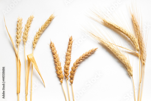 Wheat and rye composition on white background, close up