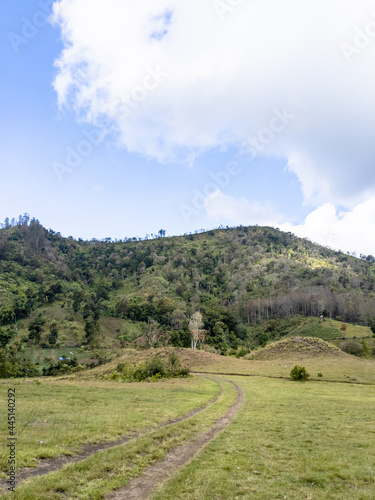 landscape in the mountains