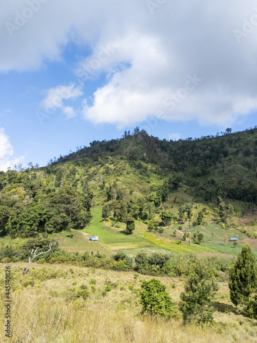 landscape in the mountains