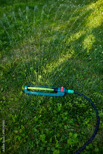 Oscillating garden sprinkler spraying water over green grass at home photo