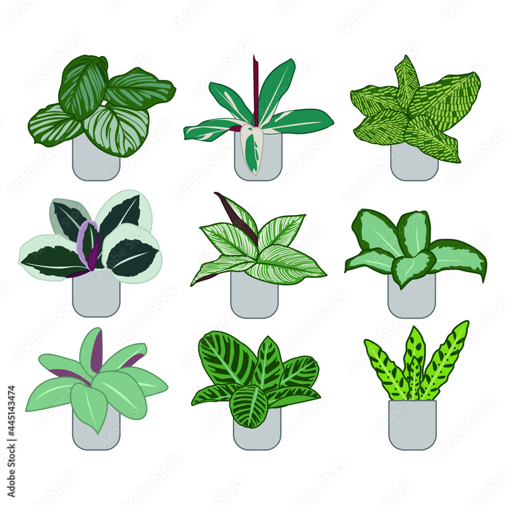 set of plant,Vector set of plant,Vector