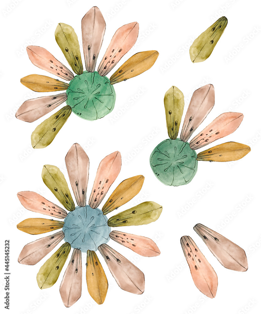 Watercolor set with daisy flowers. It is made in vintage colors. The style of old children's books. It is suitable for the design of postcards and walls, business cards or labels. Watercolor set with daisy flowers. It is made in vintage colors. The style of old children's books. It is suitable for the design of postcards and walls, business cards or labels.