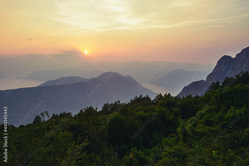 sunset  view of Kotor Bay green bush in the foreground  with the view of Adriatic ocean of Montenegro