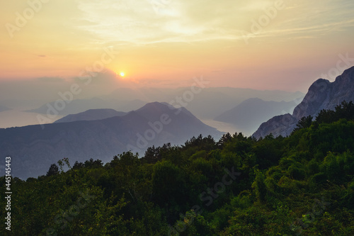 sunset view of Kotor Bay green bush in the foreground with the view of Adriatic ocean of Montenegro