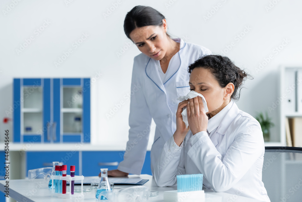 Fototapeta premium Diseased african american scientist holding napkin near nose beside colleague in lab