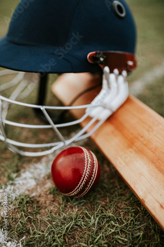 Cricket equipments on green grass photo