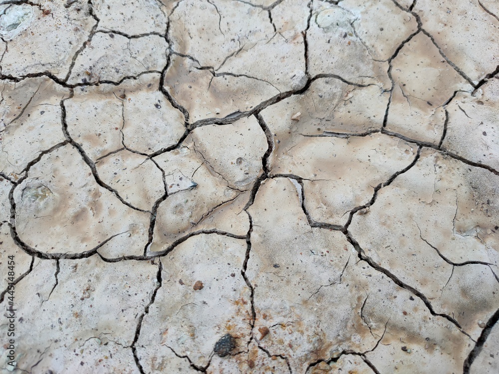 Obraz premium dry earth