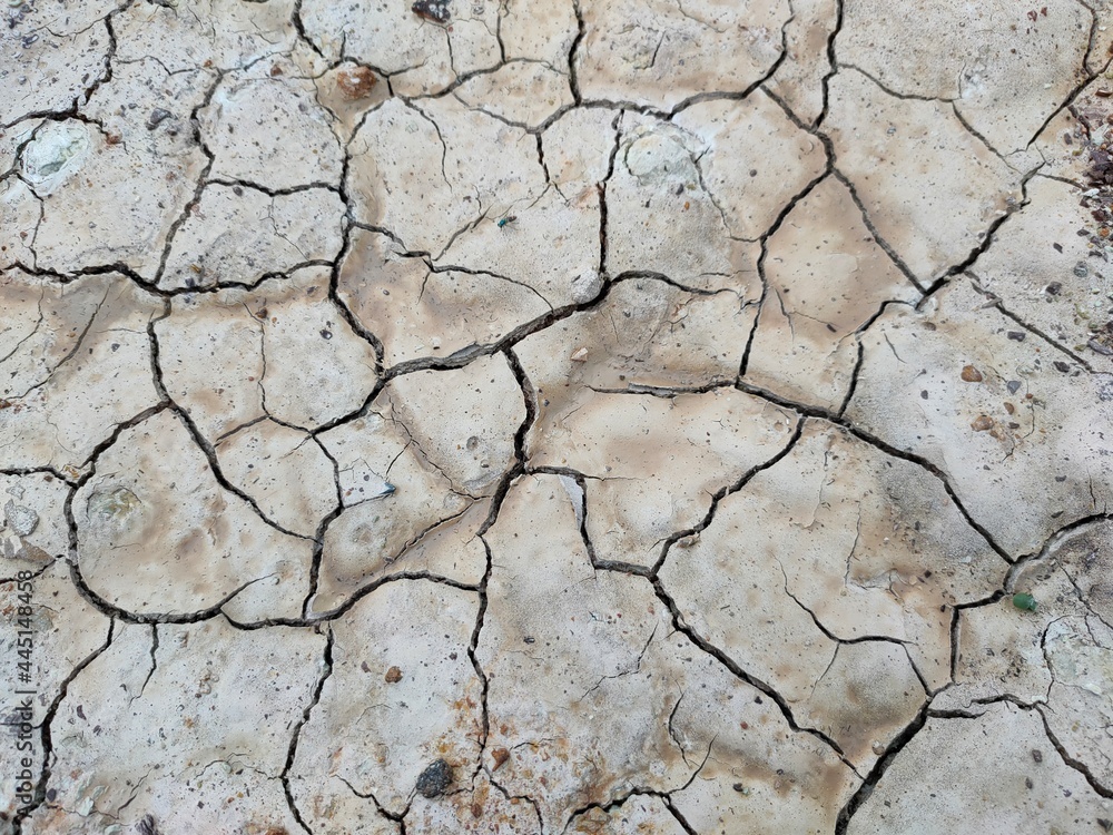 Fototapeta premium dry earth