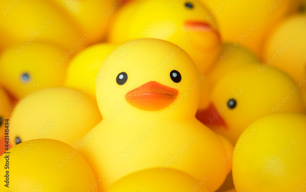 Closeup of rubber duckies Closeup of rubber duckies