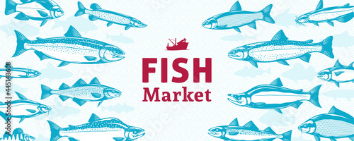 Vector fish illustration, fish group, seafood banner