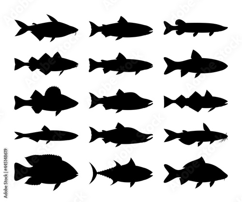 Vector fish silhouettes isolated on a white background