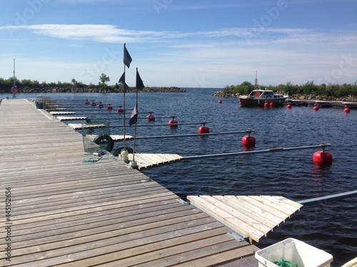 boats in the harbor