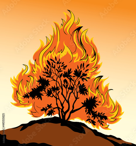 Burning bush. Vector drawing icon