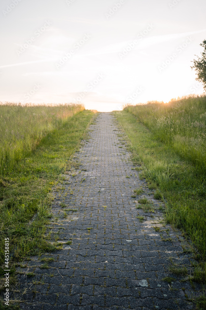 Fototapeta premium Weg im Sommer