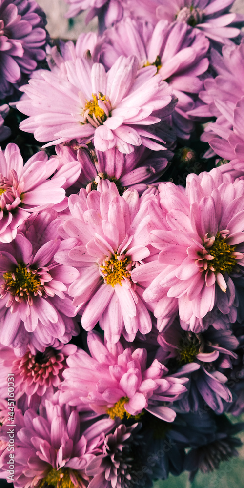 Obraz premium bouquet of flowers